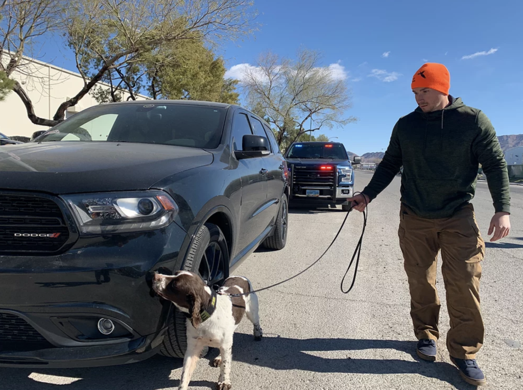 Detection K9 Handler Basic Course Ford K9