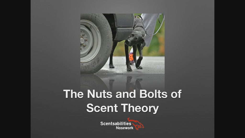 Nuts and Bolts of Scent Theory with Stacy Ford K9