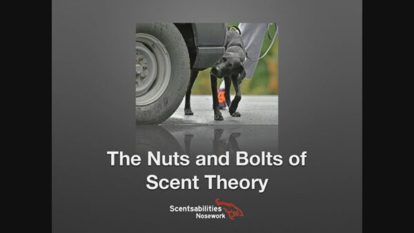 Nuts and Bolts of Scent Theory with Stacy Barnett