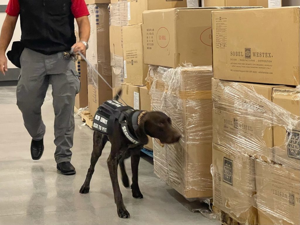 Detection Dog Trainer Course Ford K9
