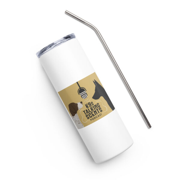 Stainless steel tumbler