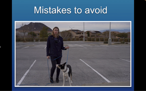 Leash Handling