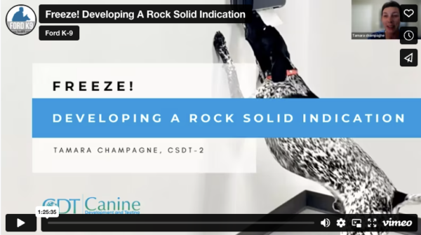 Freeze! Building A Rock Solid Indication