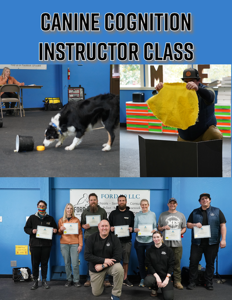 Cognition Instructor