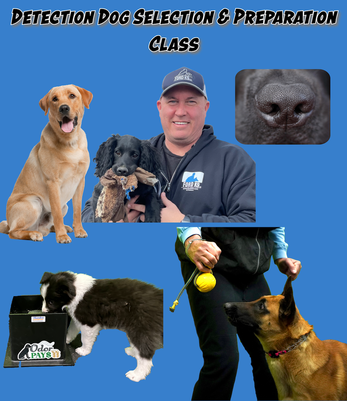 Detection Dog Selection and Preparation