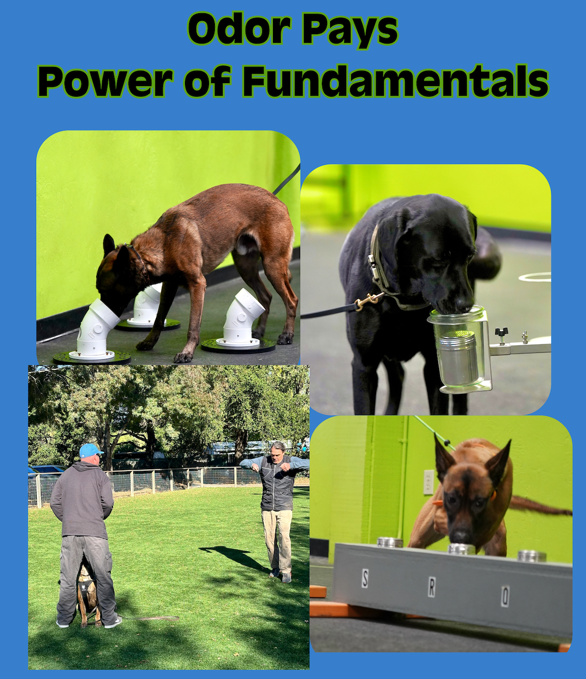 Power of fundamentals (1)
