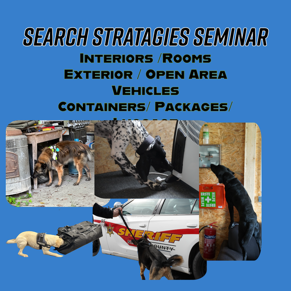 Search Strategies seminar (1)