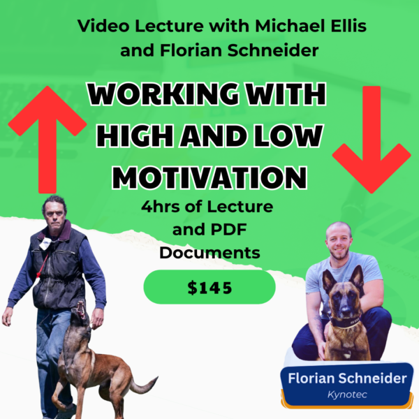 "Working with High and Low Motivation" with Florian Schneider and Michael Ellis Video Lectures