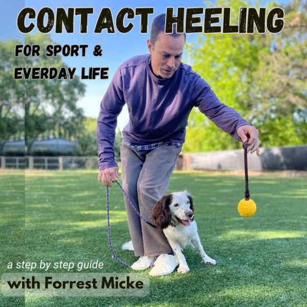 "Contact Heeling for Detection, Sport and Everyday Life" with Forrest Micke