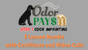 odor pays step 1