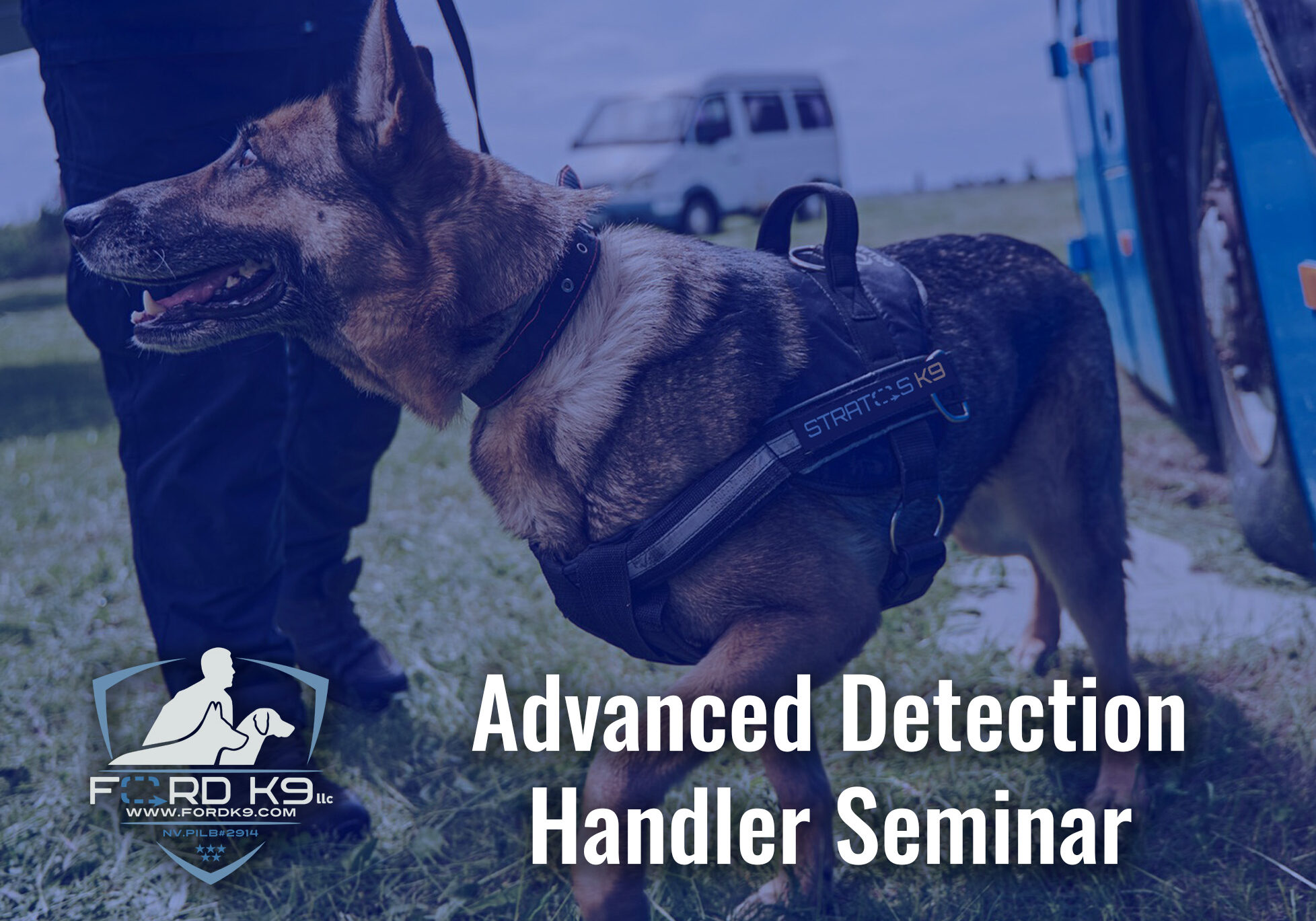 Advanced Detection Handler