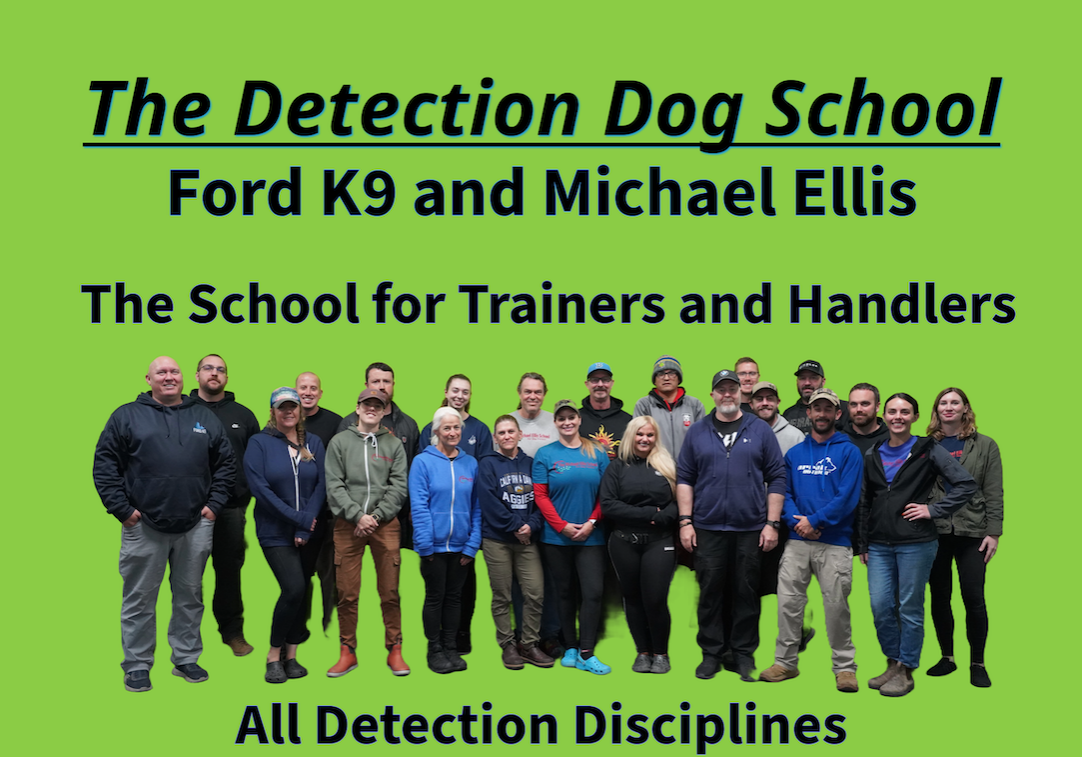 Detection School copy