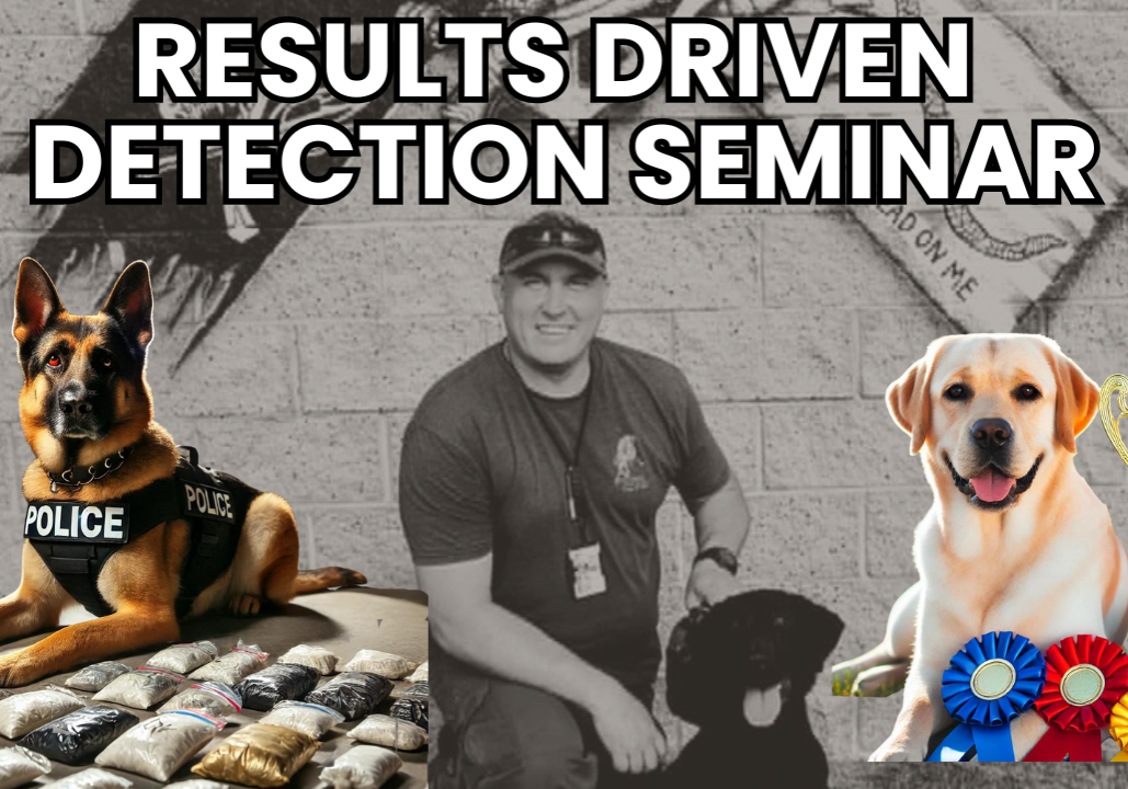 Results Driven