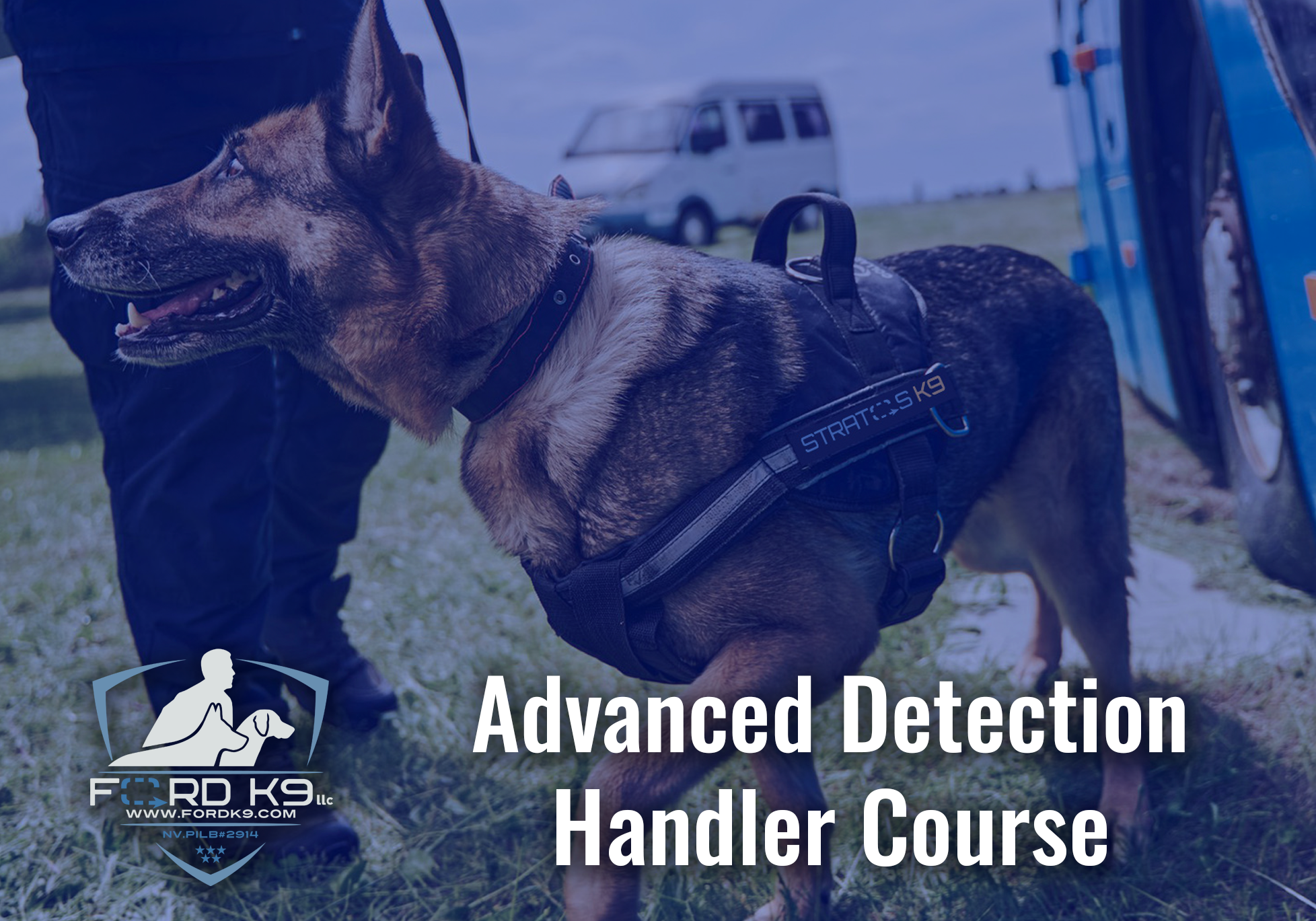 advanced detection handler course