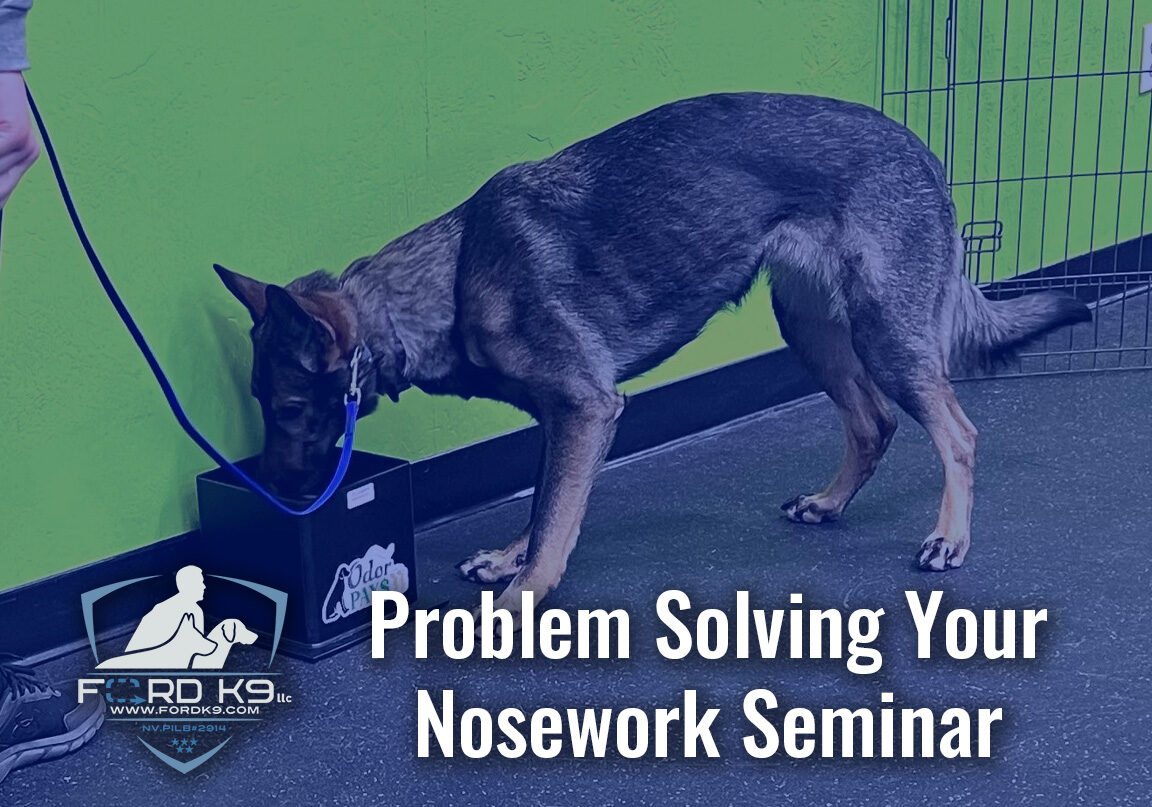 Problem Solving Your Noseword